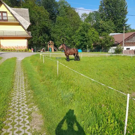 Apartment Zakatek Pienin Grywald