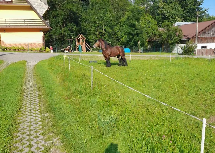 Apartamento Zakatek Pienin Grywald